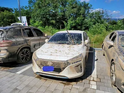Photo 1 of 4: 2017 Hyundai Modern Ionic, VIN KMHC751CGHU007004 — Korean insurance auction