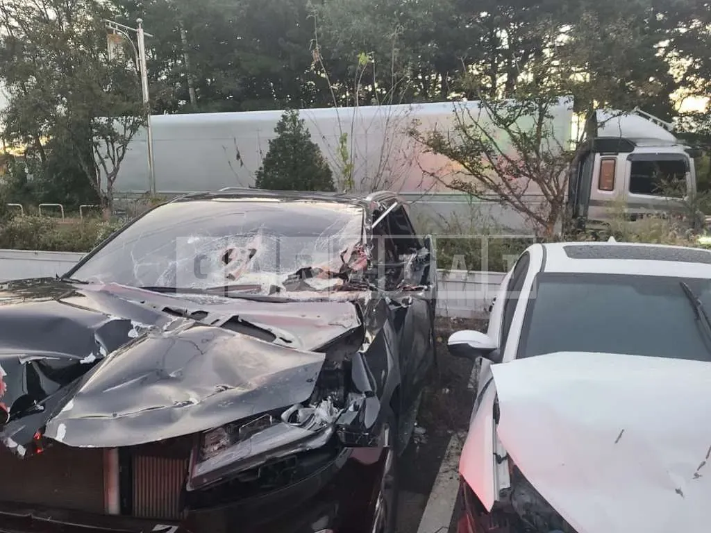 Photo 2 of 2: 2019 Kia Carnival, VIN KNAMC81ABKS483919 — Korean insurance auction