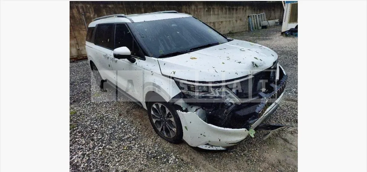 Photo 2 of 20: 2023 Kia Carnival 2.2 — Korean insurance auction