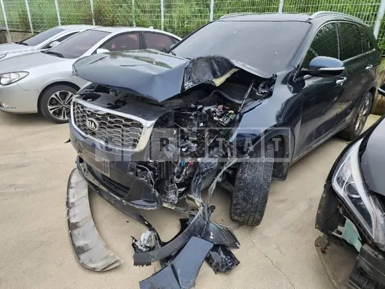 Photo 2 of 18: 2019 Kia Sorento 2.0, VIN KNAPS81ABLA583637 — Korean insurance auction