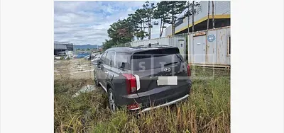 Photo 1 of 19: 2019 Hyundai Palisade 3.8 (4WD) — Korean insurance auction