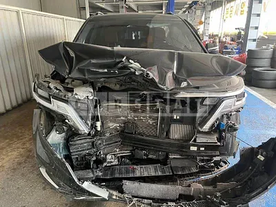 Photo 1 of 31: 2021 Kia Carnival, VIN KNANC81BBMS029359 — Korean insurance auction