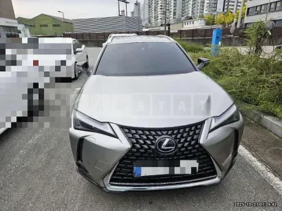 2024 Lexus UX250h 2WD
