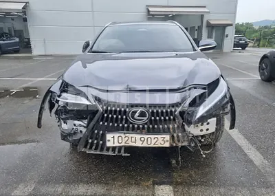 Photo 1 of 37: 2023 Lexus NX350h — Korean insurance auction
