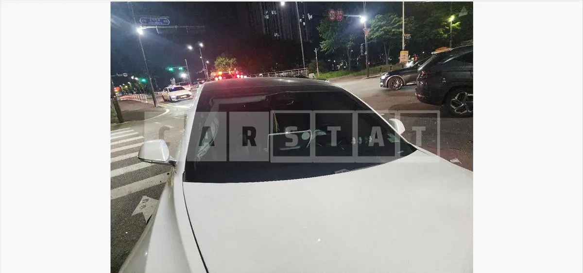 Photo 2 of 5: 2020 Tesla Model 3 Long Range — Korean insurance auction