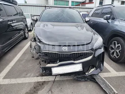 Photo 1 of 13: 2018 Kia Stinger, VIN KNAE751CDJS029590 — Korean insurance auction