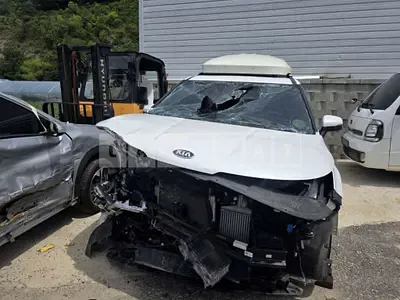 Photo 1 of 11: 2020 Kia Carnival 9-Seater 2.2 — Korean insurance auction