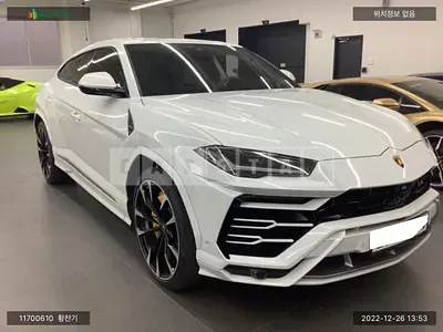 2020 lamborghini /urus