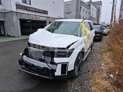 2026 * Hyundai *Santa Fe