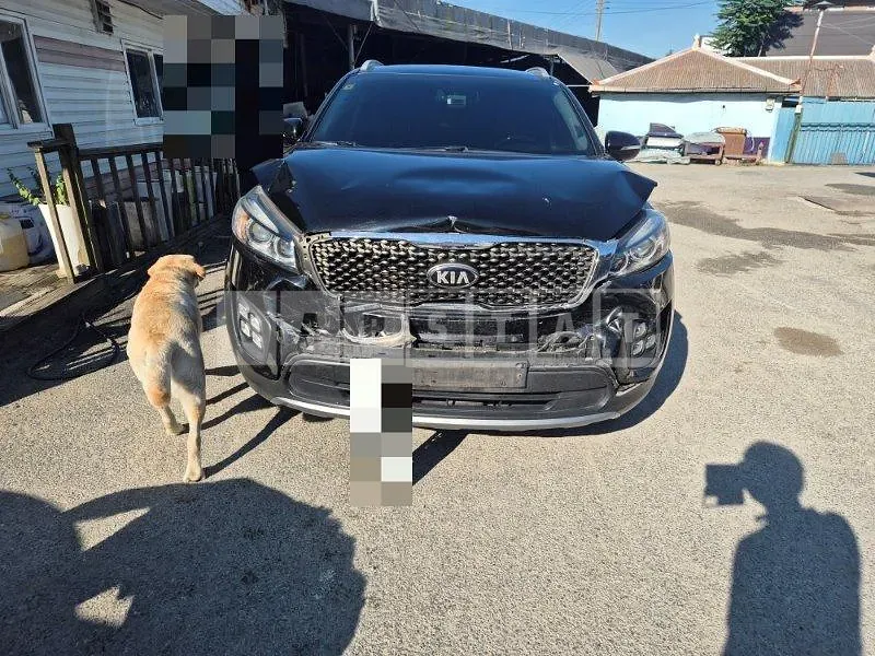 Photo 2 of 20: 2016 Kia Sorento 4WD — Korean insurance auction