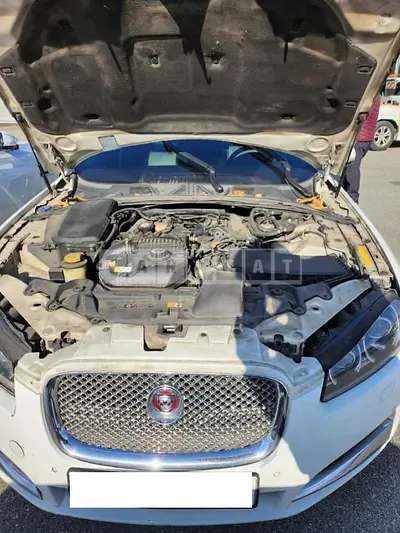 Photo 1 of 14: 2015 Jaguar XF 3.0d, VIN SAJAA0642FNU53738 — Korean insurance auction