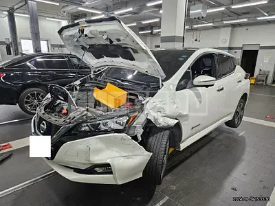 Photo 1 of 50: 2019 Nissan Leaf — Korean insurance auction
