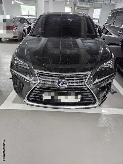 Photo 1 of 60: 2018 Lexus NX300h — Korean insurance auction