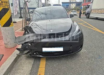 Photo 1 of 31: 2025 Tesla Model Y RWD — Korean insurance auction