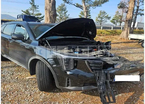 Photo 2 of 19: 2024 Kia Sorento, VIN KNARH81GDRA230256 — Korean insurance auction