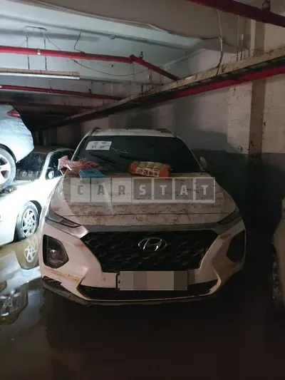 Photo 1 of 3: 2019 Hyundai Calm Santa Fe 2.0 — Korean insurance auction