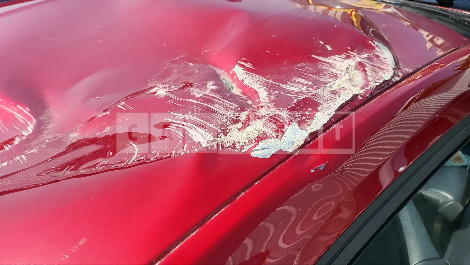 Photo 2 of 35: 2020 Ford Mustang GT 5.0 Coupe, VIN 1FA6P8CF3L5153196 — Korean insurance auction