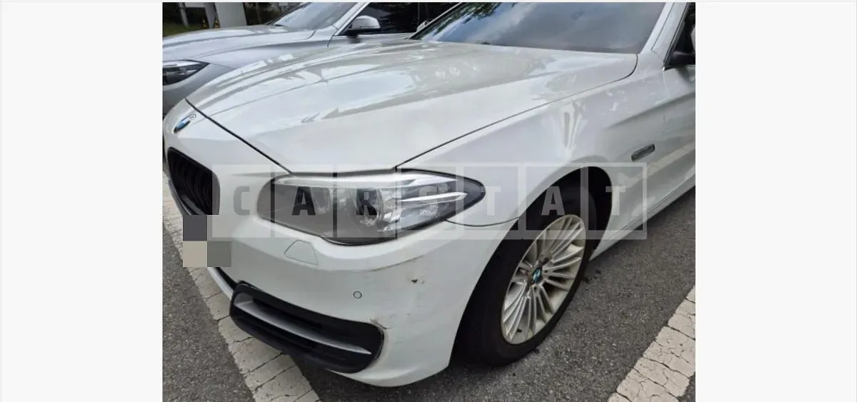 Photo 2 of 4: 2015 BMW (parts) 520d xDrive Headlamp — Korean insurance auction