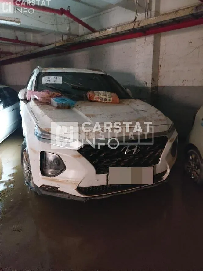 Photo 3 of 3: 2019 Hyundai Calm Santa Fe 2.0 — Korean insurance auction
