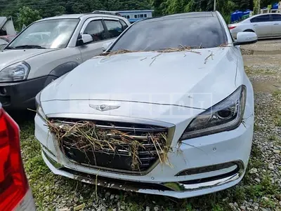 Photo 1 of 13: 2017 Genesis G80 3.3, VIN KMHGL41DBJU253210 — Korean insurance auction