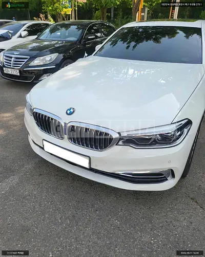 2020 BMW BMW 520d Luxury