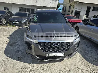 Photo 1 of 29: 2019 Hyundai Santa Fe, VIN KMHS281BBLU221776 — Korean insurance auction