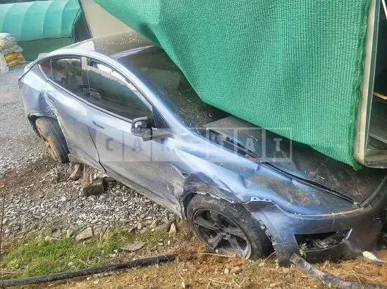 Photo 2 of 19: 2025 Tesla Model Y RWD — Korean insurance auction