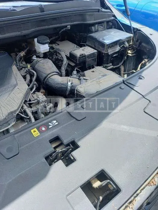 Photo 2 of 12: 2024 Kia Carnivals — Korean insurance auction