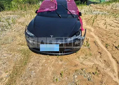Photo 1 of 44: 2024 Tesla Model 3 RWD — Korean insurance auction