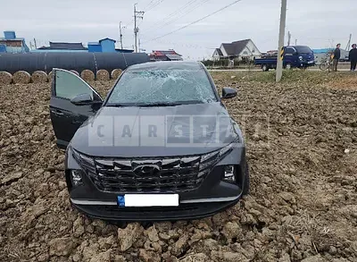 Photo 1 of 14: 2022 Hyundai Tucson, VIN KMHJB81BGNU116499 — Korean insurance auction