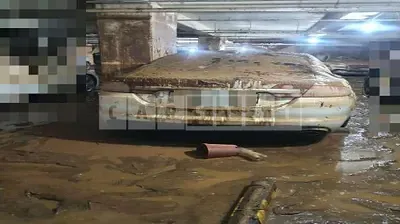 Photo 1 of 4: 2015 Jaguar Invasive Kyu XF 2.2d — Korean insurance auction