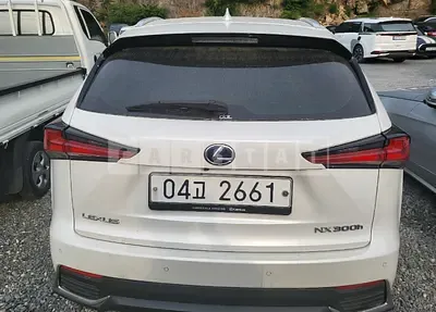 Photo 1 of 20: 2018 Lexus NX300h, VIN JTJBJRBZ6J2079876 — Korean insurance auction