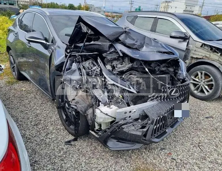Photo 2 of 15: 2023 Lexus NX350h — Korean insurance auction
