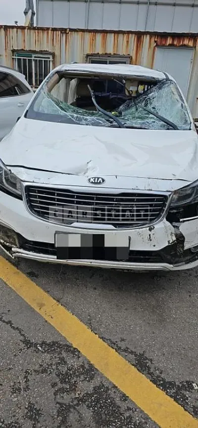 Photo 1 of 14: 2018 Kia Carnivals — Korean insurance auction