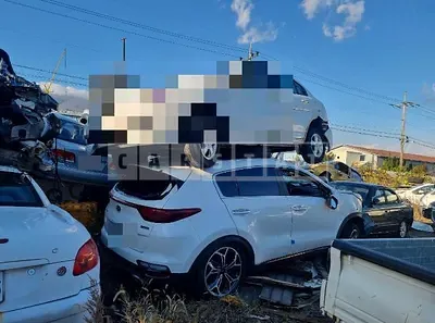 Photo 1 of 36: 2019 Kia Sportage, VIN KNAPR813BKK690261 — Korean insurance auction