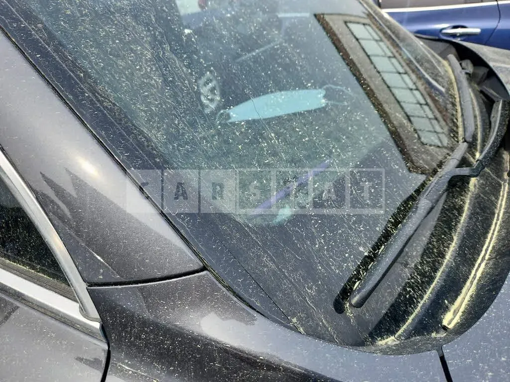 Photo 2 of 48: 2020 Kia Sorento /Sorrento, VIN KNARM81BHMA037978 — Korean insurance auction