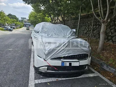 Photo 1 of 35: 2024 Kia Carnivals — Korean insurance auction