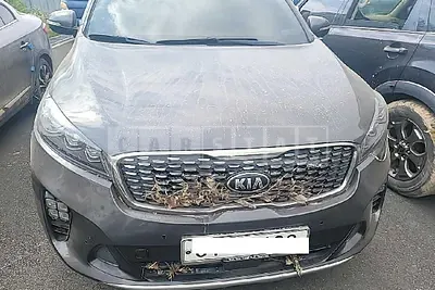 Photo 1 of 10: 2019 Kia Sorento, VIN KNAPS81BBKA499609 — Korean insurance auction