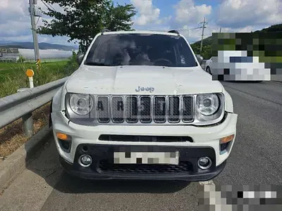 Photo 1 of 7: 2019 Jeep Zip Renegade 2.4 — Korean insurance auction