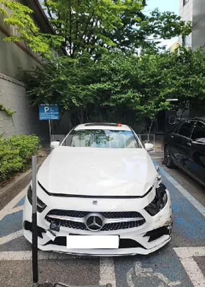 2019 Mercedes-Benz cls300d