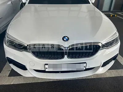 2017 (Parts) BMW 520d xDrive Light