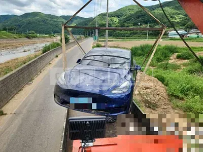 Photo 1 of 5: 2024 Tesla Model Y RWD — Korean insurance auction