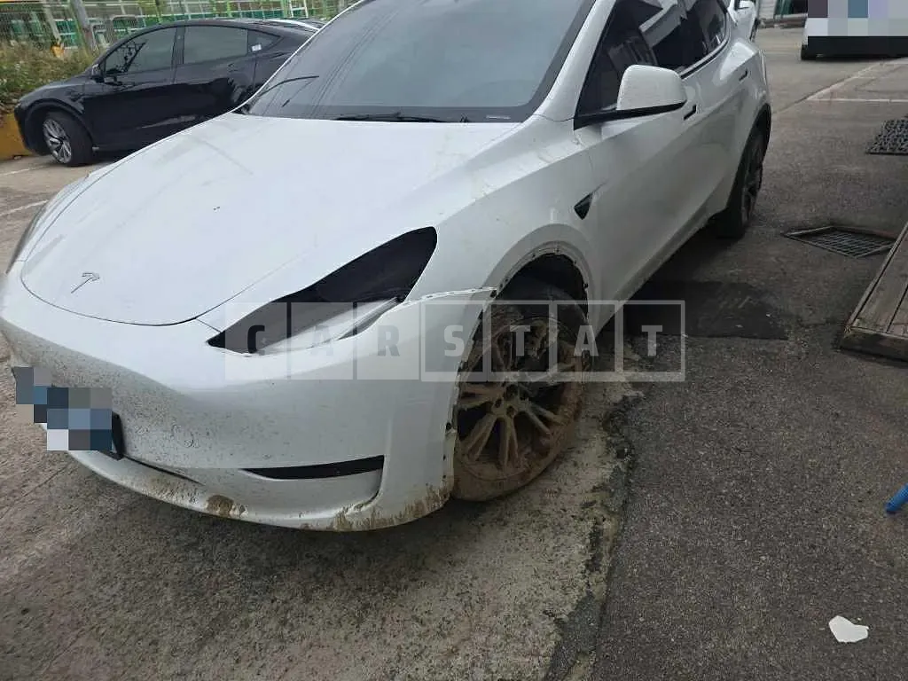 Photo 2 of 77: 2024 Tesla Model Y RWD — Korean insurance auction