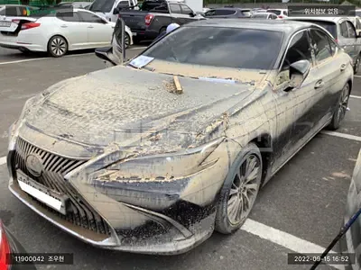 2021 lexus /lexus es 300h