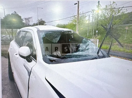 Photo 2 of 10: 2025 Kia Sorento — Korean insurance auction
