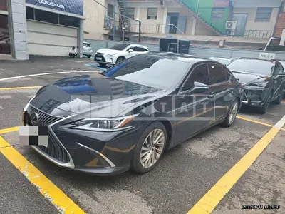 Photo 1 of 12: 2019 Lexus ES300h, VIN JTHB21B14K2007733 — Korean insurance auction