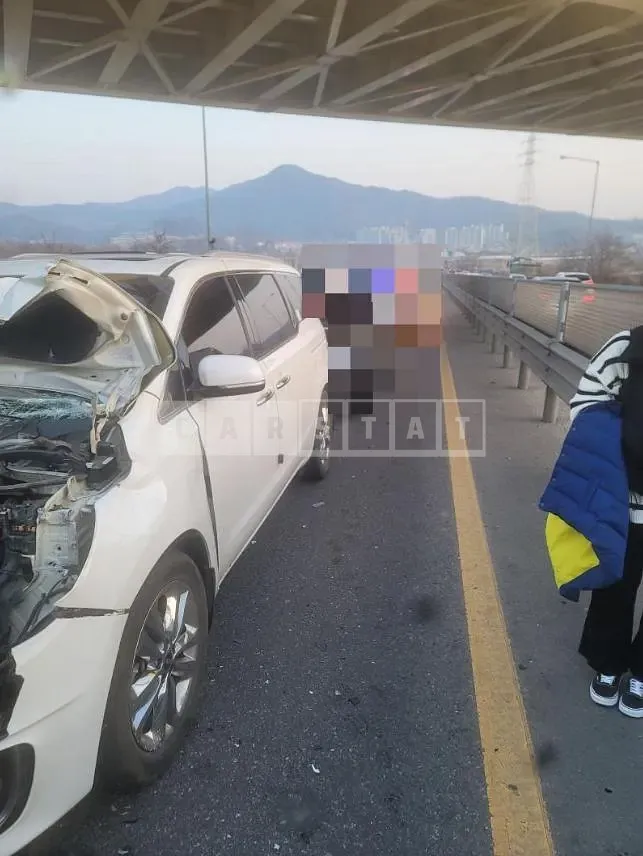 Photo 2 of 9: 2014 Kia Carnival 9 -Seater — Korean insurance auction