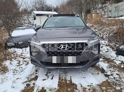 Photo 1 of 20: 2019 Hyundai Santa Fe TM 2.0T, VIN KMHS381ABLU249880 — Korean insurance auction