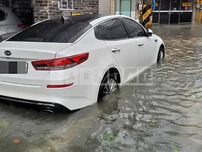 Photo 1 of 13: 2019 Kia Salm K5 2.0 — Korean insurance auction
