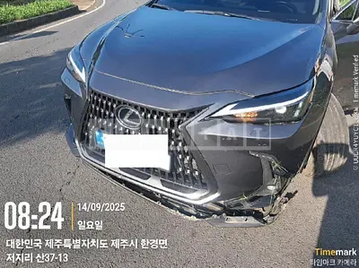 Photo 1 of 14: 2024 Lexus NX350h — Korean insurance auction